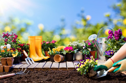 Grtnerei Stiller - Gartenpflege